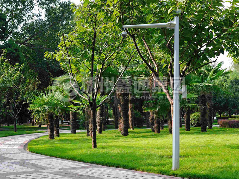 DJG-022，電子警察桿，八棱懸臂球機(jī)桿